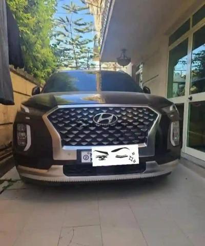 2022 Hyundai Palisade