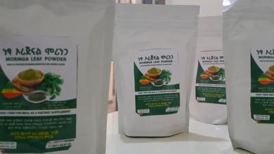 Moringa powder