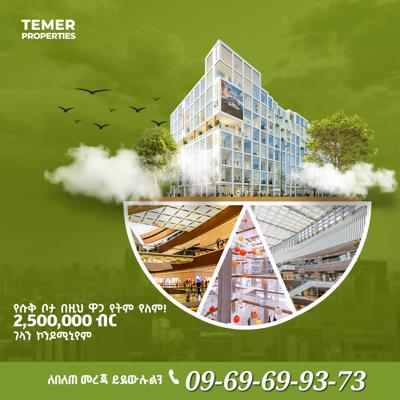 Temer Real Estate Shop for Sale