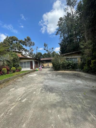 ብስራተ ገብረኤል