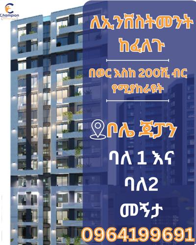 Holly day big Discount