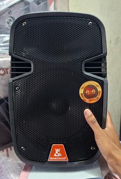 Avcrown 8" Wireless Rechargeable Speaker